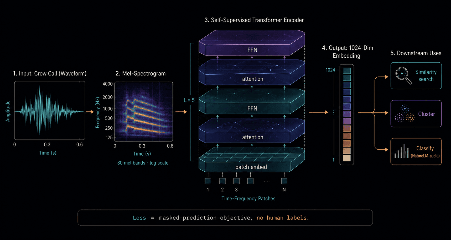 Technical cross-section of an SSL audio model: input waveform → mel-spectrogram → transformer stack → embedding vector.