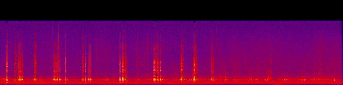 Spectrogram of Companion / contact