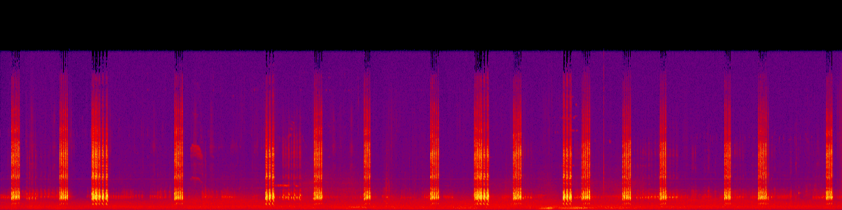 Spectrogram of Companion / contact