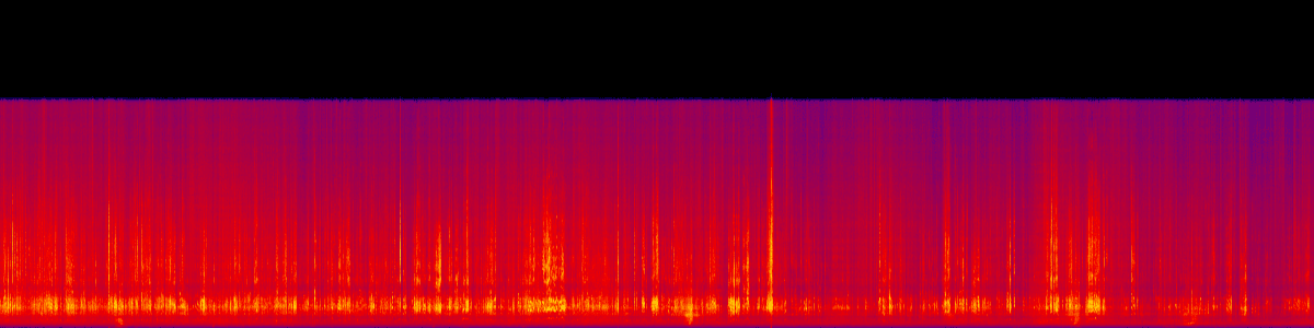 Spectrogram of Assembly / flock