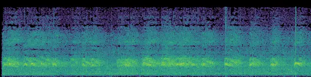 Sound energy across eight seconds of American crow call; frequency rises from bottom to top.