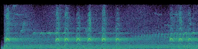 Sound energy across eight seconds of Typical call, described by the recordist; frequency rises from bottom to top.
