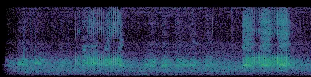 Sound energy across eight seconds of Rattling calls, described by the recordist; frequency rises from bottom to top.